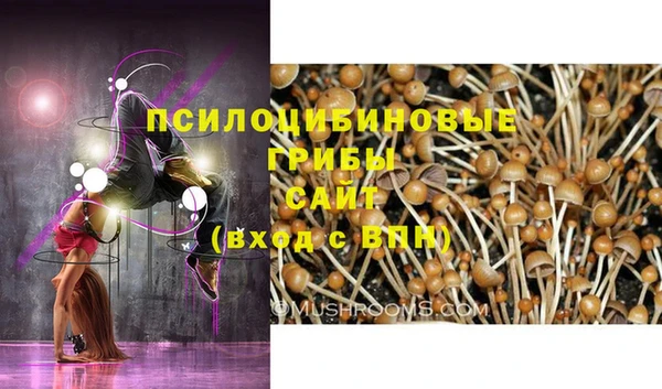 метадон Шали