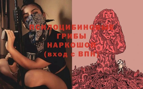 герыч Шадринск