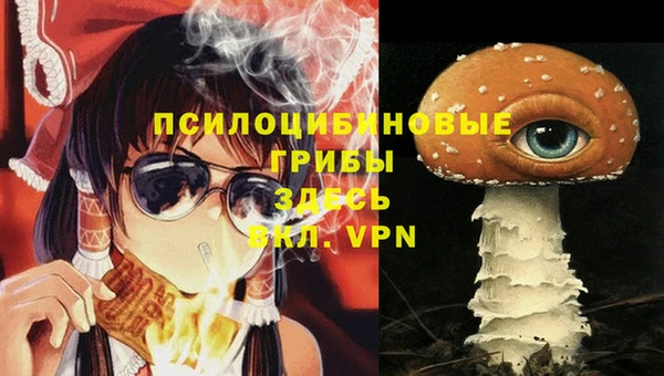 герыч Шадринск