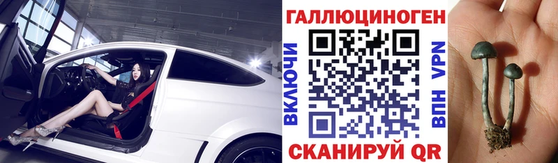 Купить  Азнакаево  Галлюциногенные грибы Psilocybine cubensis 