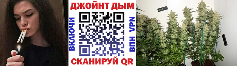 Канабис индика  Купить где  Азнакаево 